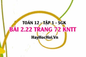 Bài 2.22 trang 72 Toán 12 tập 1 Kết nối tri thức